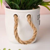 Artificial Flower With Pot – Green & White