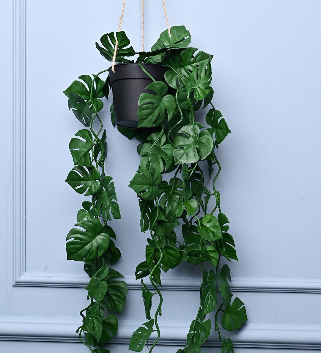Green Hanging Planter - Cylindrical Shape - MARKET99