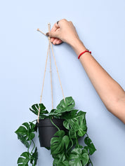 Green Hanging Planter - Cylindrical Shape - MARKET99