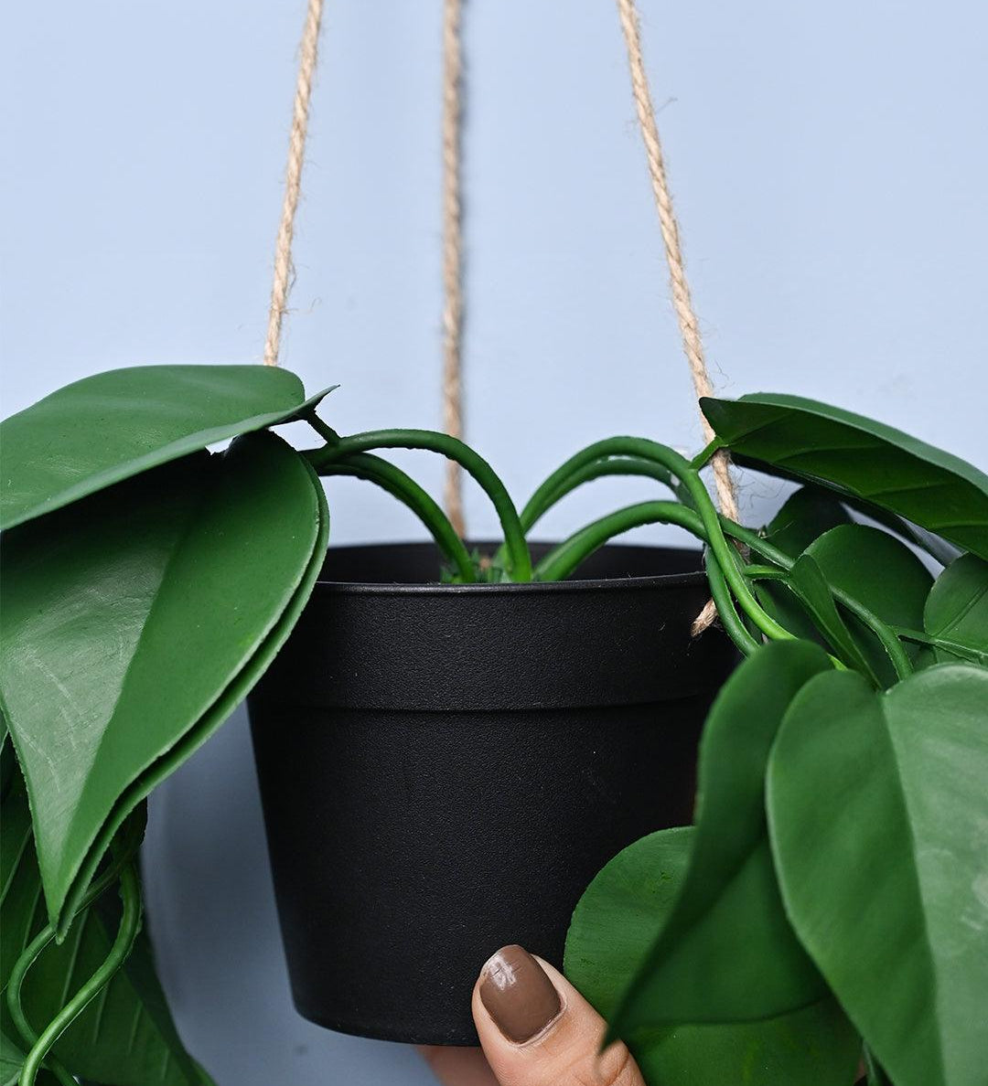 Green Hanging Planter - Cylindrical Shape - MARKET99