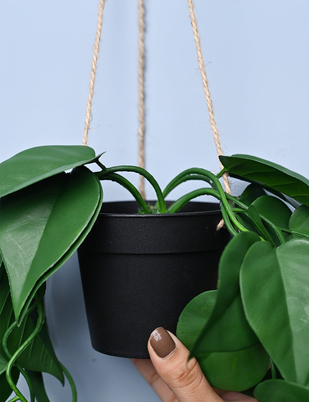 Green Hanging Planter - Cylindrical Shape - MARKET99