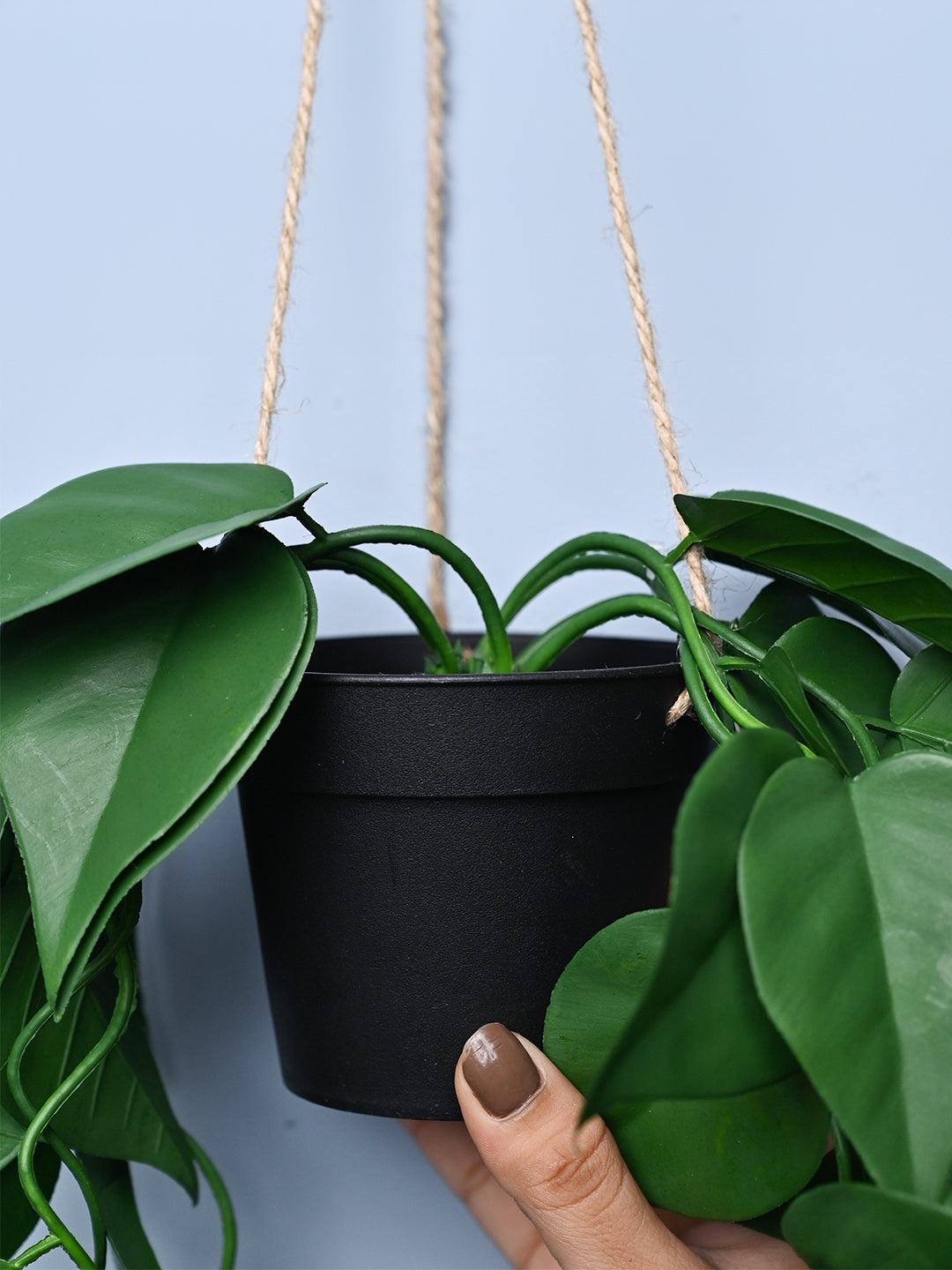 Green Hanging Planter - Cylindrical Shape - MARKET99