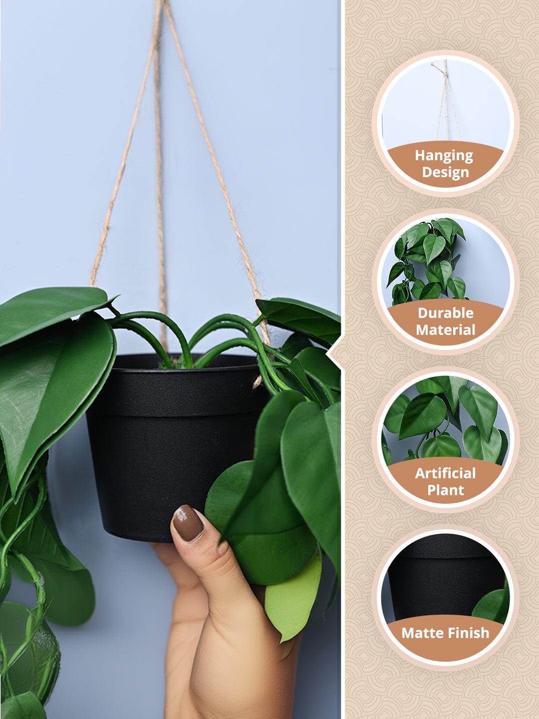 Planter Box Online: Buy Flower Plant Boxes at Best Prices | Market