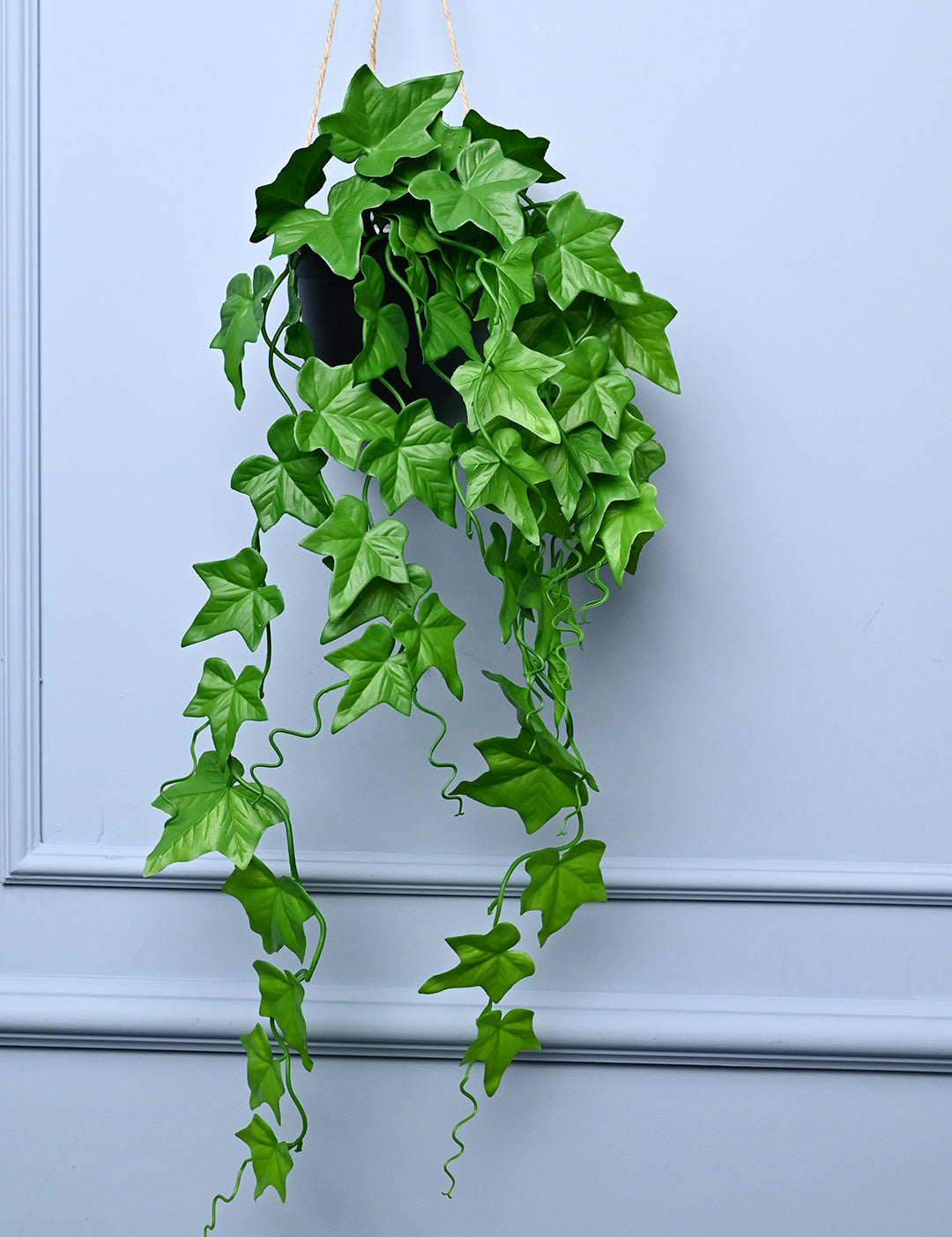 Green Hanging Planter - Cylindrical Shape - MARKET99