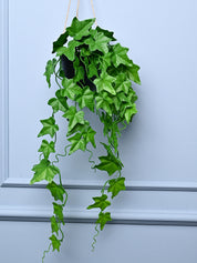 Green Hanging Planter - Cylindrical Shape - MARKET99