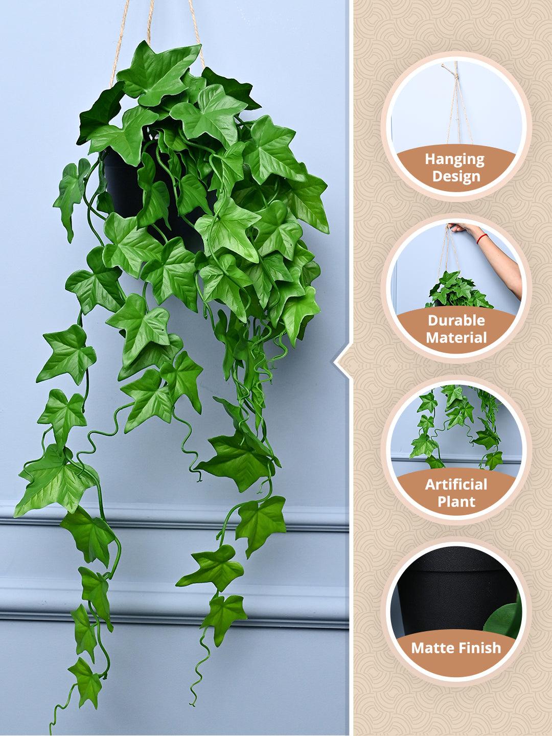 Planter Box Online: Buy Flower Plant Boxes at Best Prices | Market