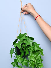 Green Hanging Planter - Cylindrical Shape - MARKET99