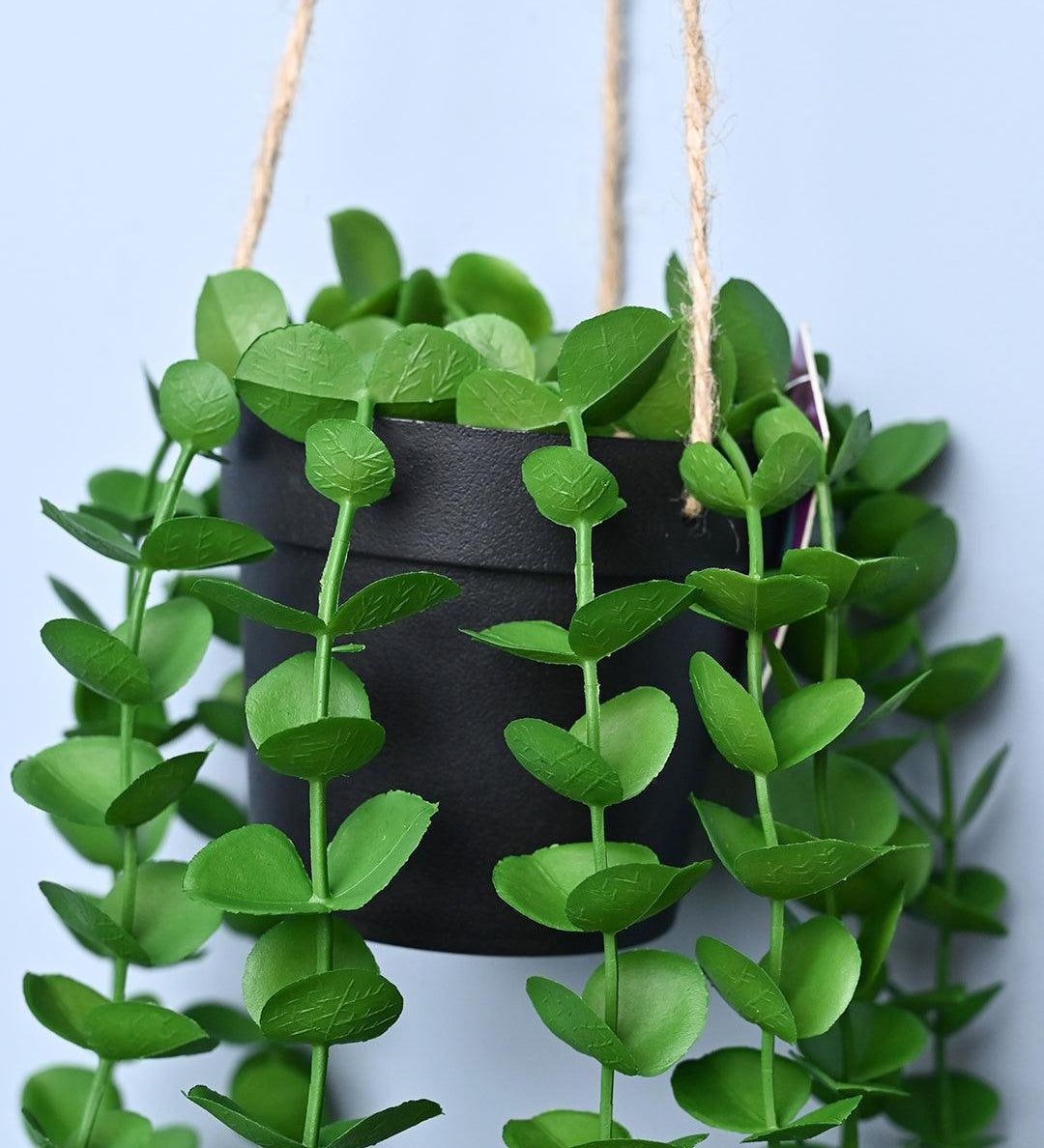 Green Hanging Planter - Cylindrical Shape - MARKET99