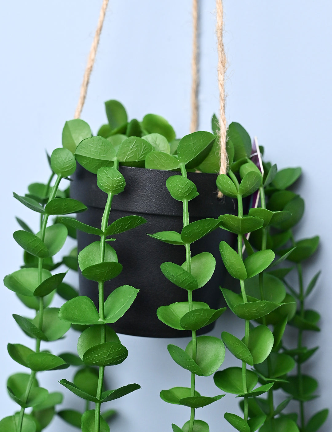 Green Hanging Planter - Cylindrical Shape - MARKET99