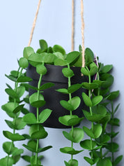 Green Hanging Planter - Cylindrical Shape - MARKET99