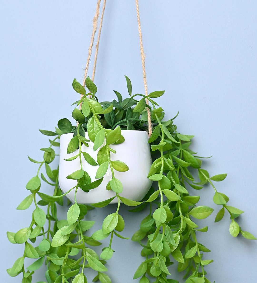 Green Hanging Planter - Cylindrical Shape - MARKET99