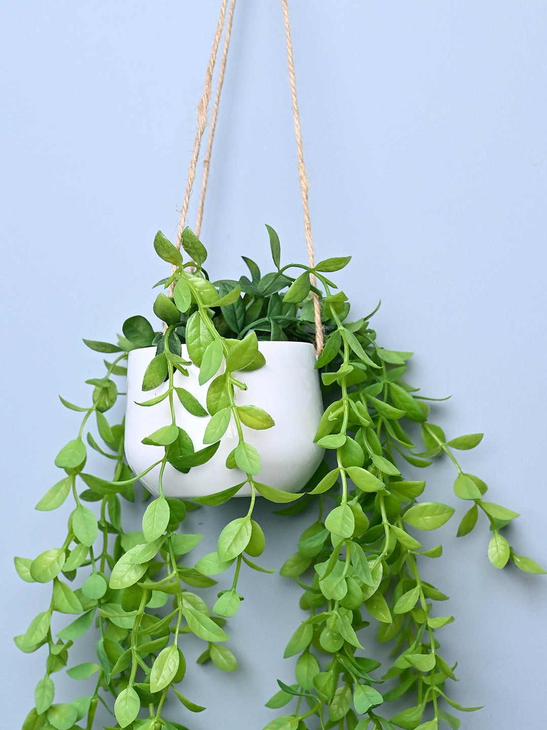 Green Hanging Planter - Cylindrical Shape - MARKET99