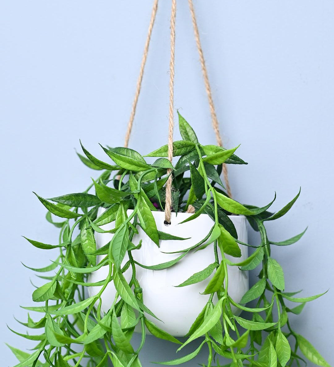 Green Hanging Planter - Cylindrical Shape - MARKET99