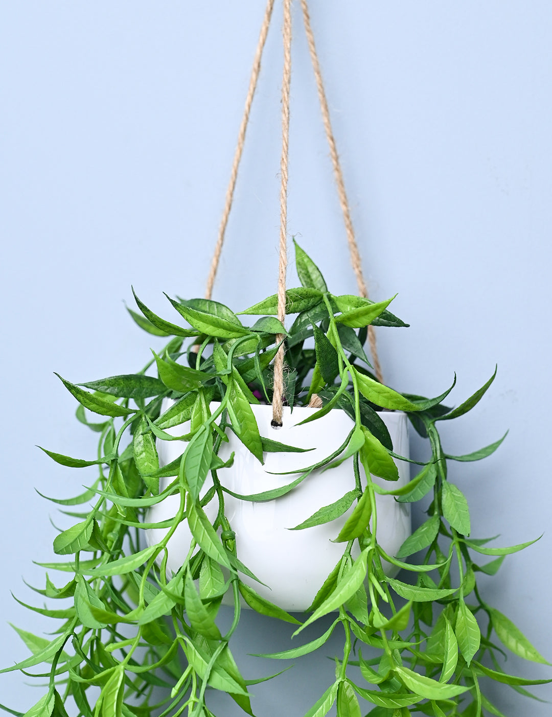 Green Hanging Planter - Cylindrical Shape - MARKET99