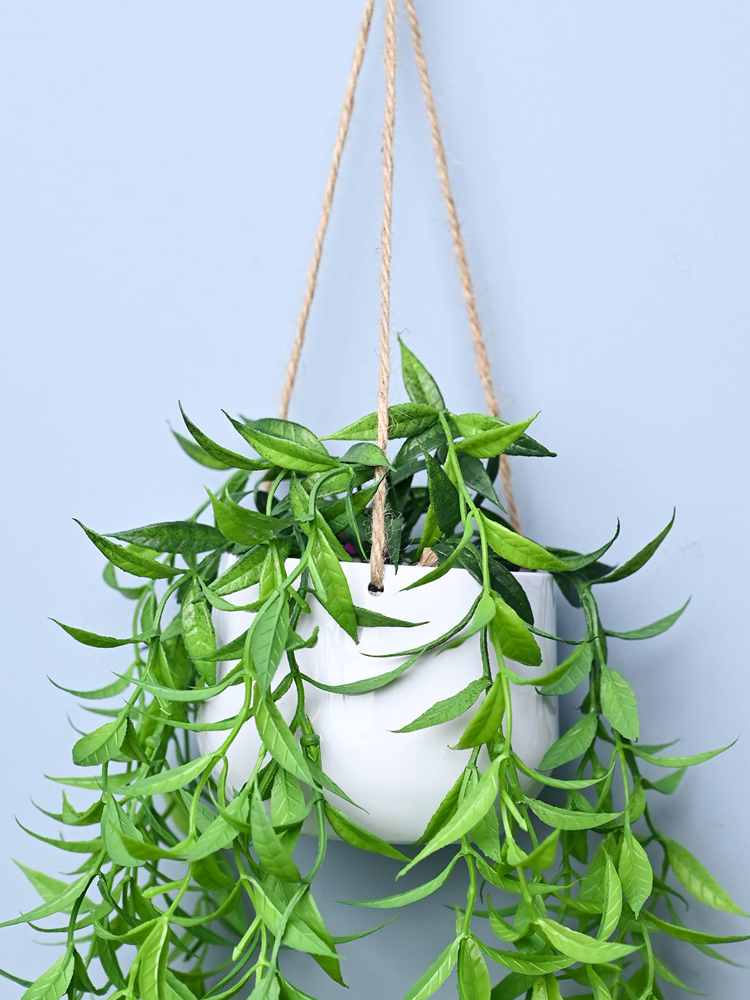 Green Hanging Planter - Cylindrical Shape - MARKET99