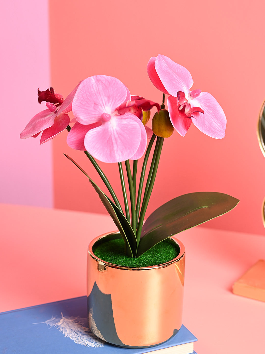 Pink Orchid Flowers With Golden Pot - Indoor Office Plants