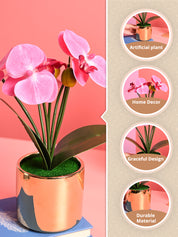 Pink Orchid Flowers With Golden Pot - Indoor Office Plants