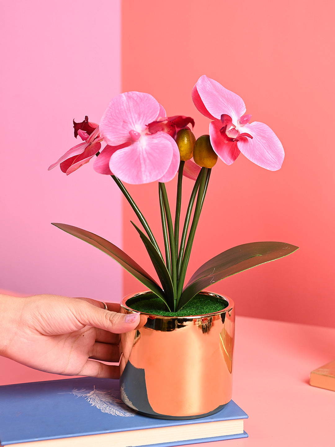 Pink Orchid Flowers With Golden Pot - Indoor Office Plants