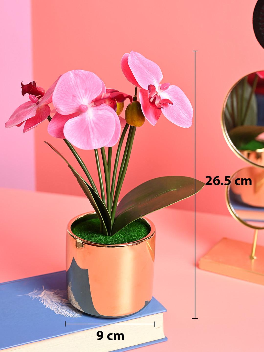 rose gold indoor planter Pink Orchid Flowers With Golden Pot