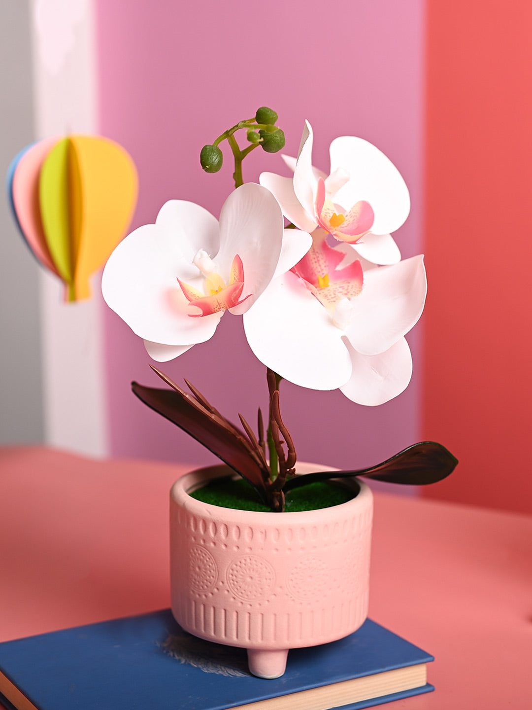 White Orchid Flowers With Pink Pot - Table Top Plants