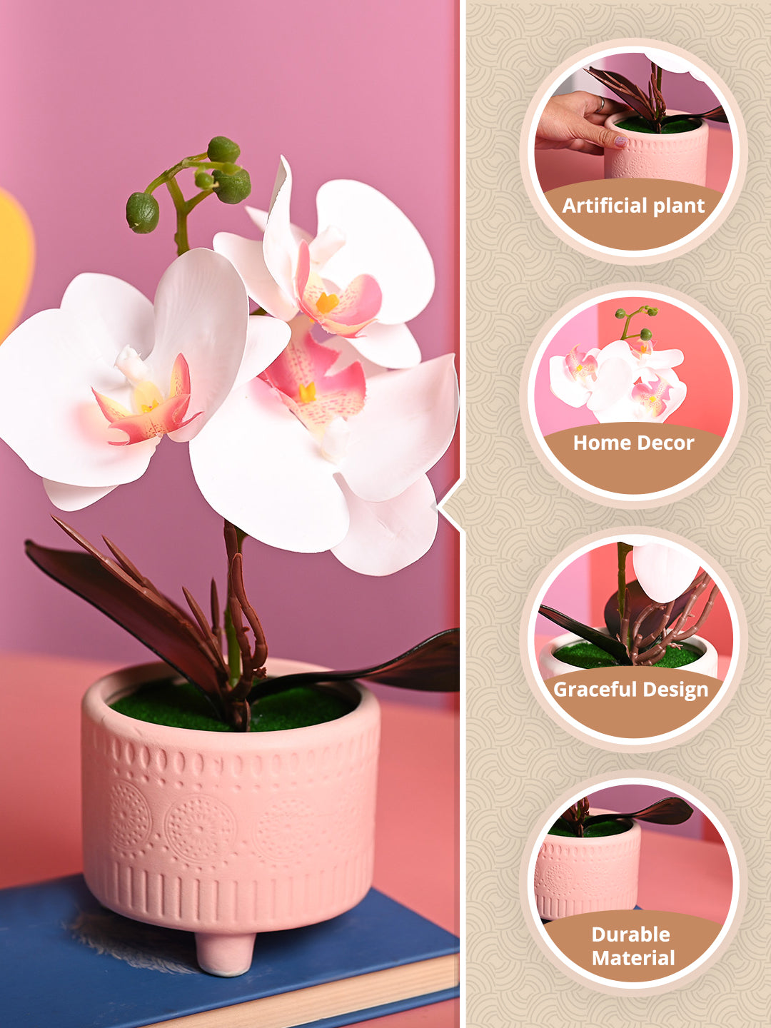 White Orchid Flowers With Pink Pot - Table Top Plants