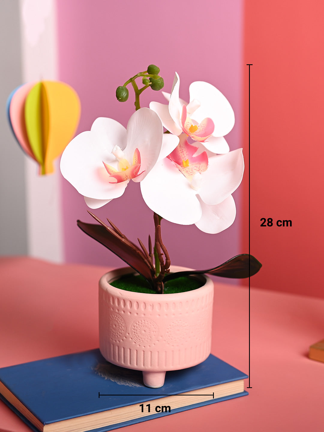 White Orchid Flowers With Pink Pot - Table Top Plants