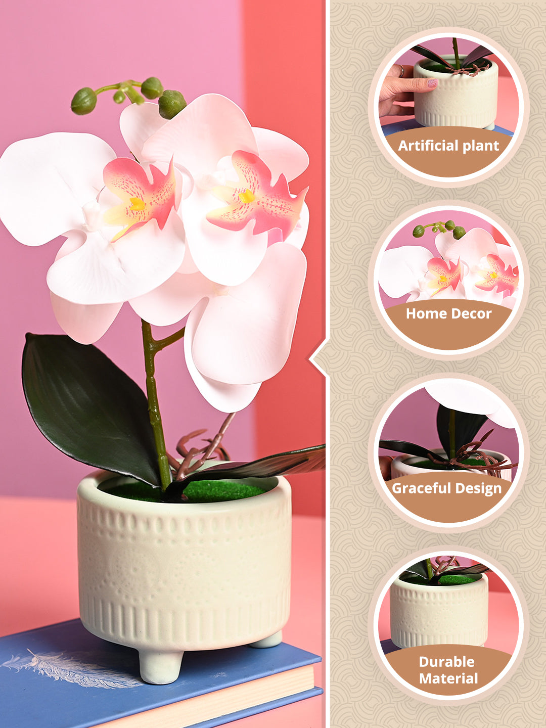 White Orchid Flowers With Green Pot - Desktop Plants