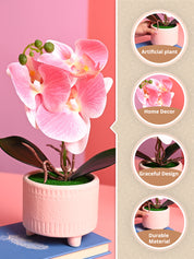 Pink Orchid Flowers With Pot - Desktop Plants