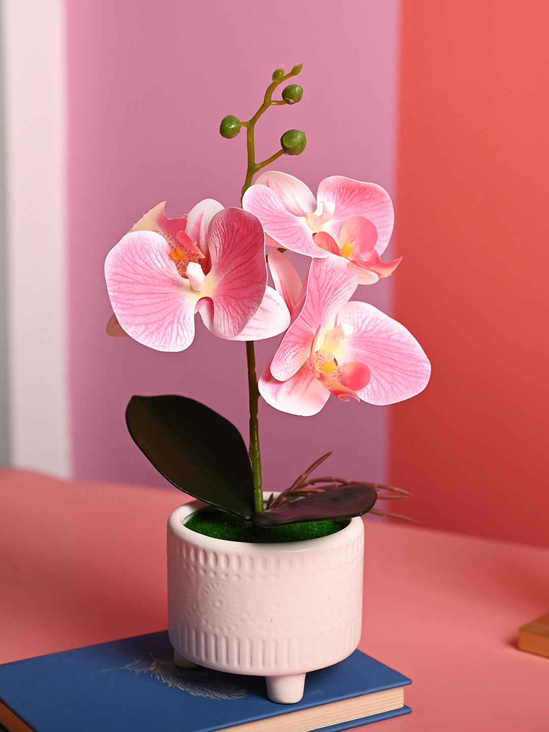 Pink Orchid Flowers With White Pot - Indoor Office Plants