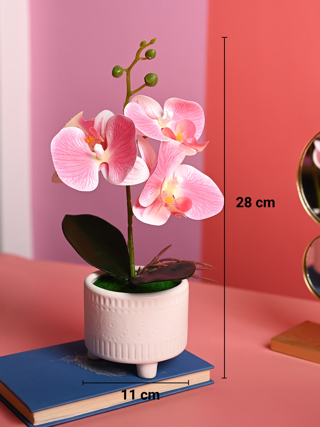 Pink Orchid Flowers With White Pot - Indoor Office Plants