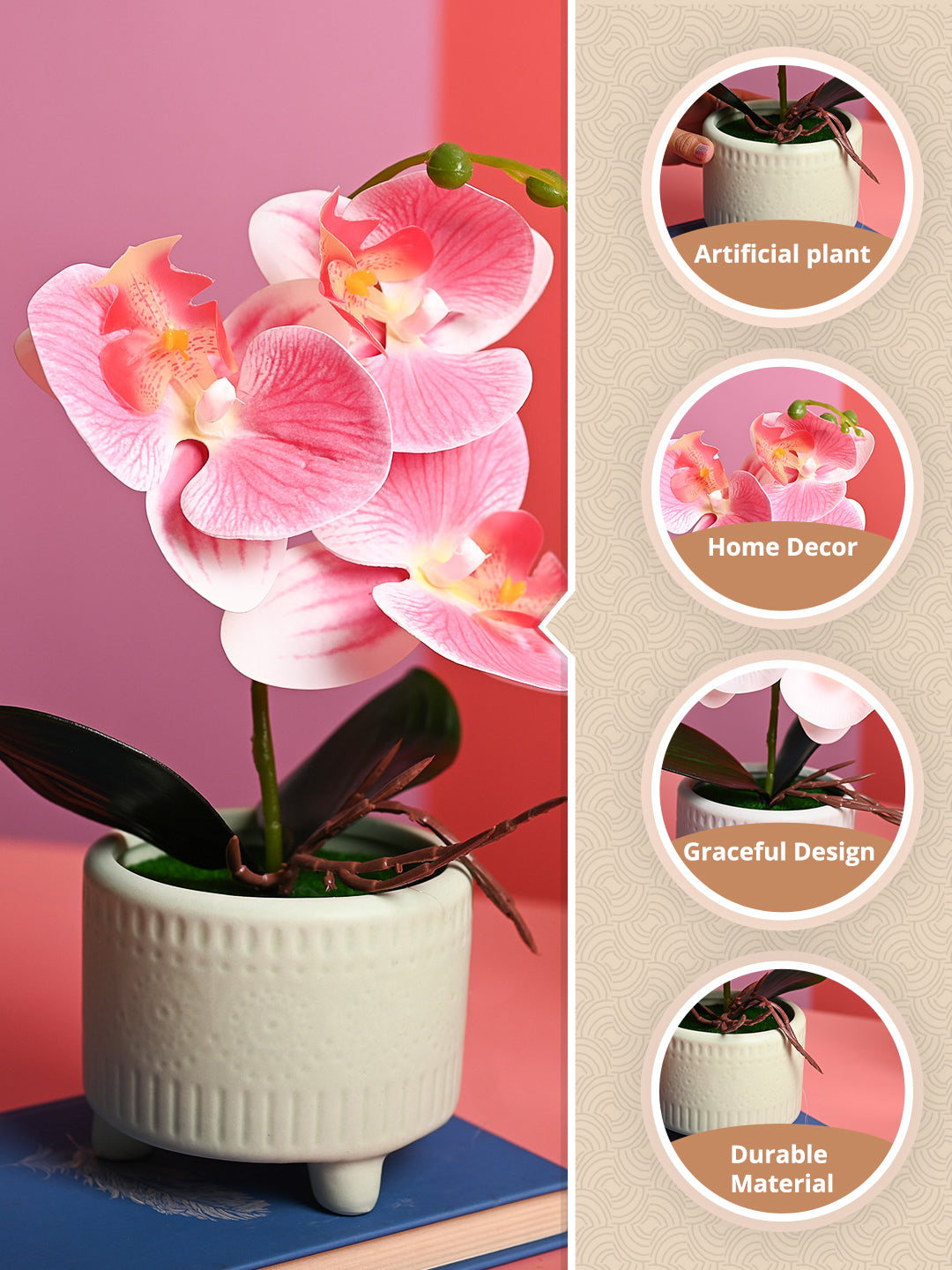 Pink Orchid Flowers With Green Pot - Table Top Plants