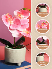 Pink Orchid Flowers With Green Pot - Table Top Plants