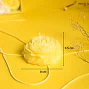 Lemon Rain Fragrance Candle Gift Set