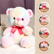 Rainbow Teddy Bear Toy With Neck Bow