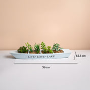Market99 Blue Boat-Shaped Plastic Flower Pot