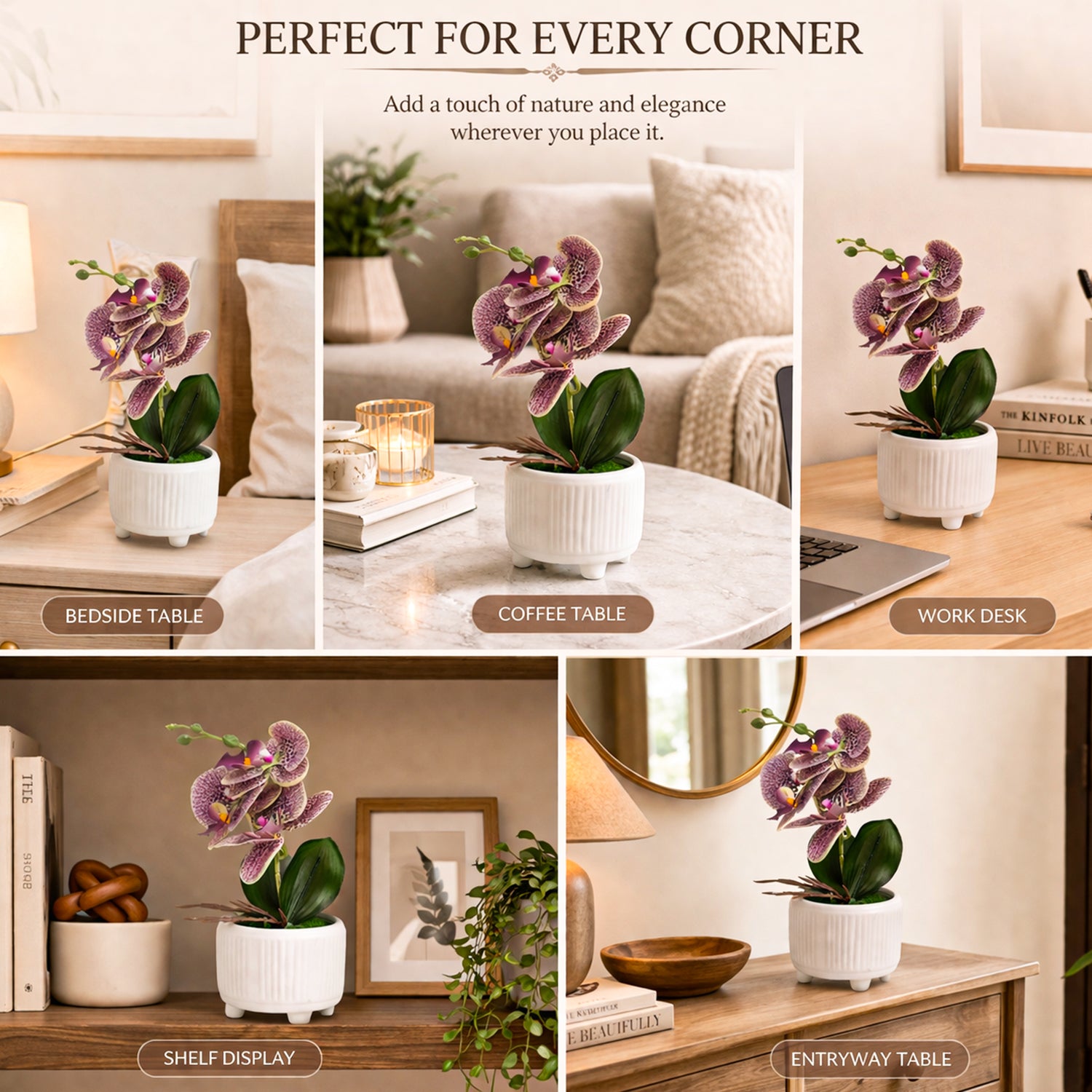 Pink & Purple Orchid Flowers With White Pot