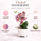 Pink & Purple Orchid Flowers With White Pot