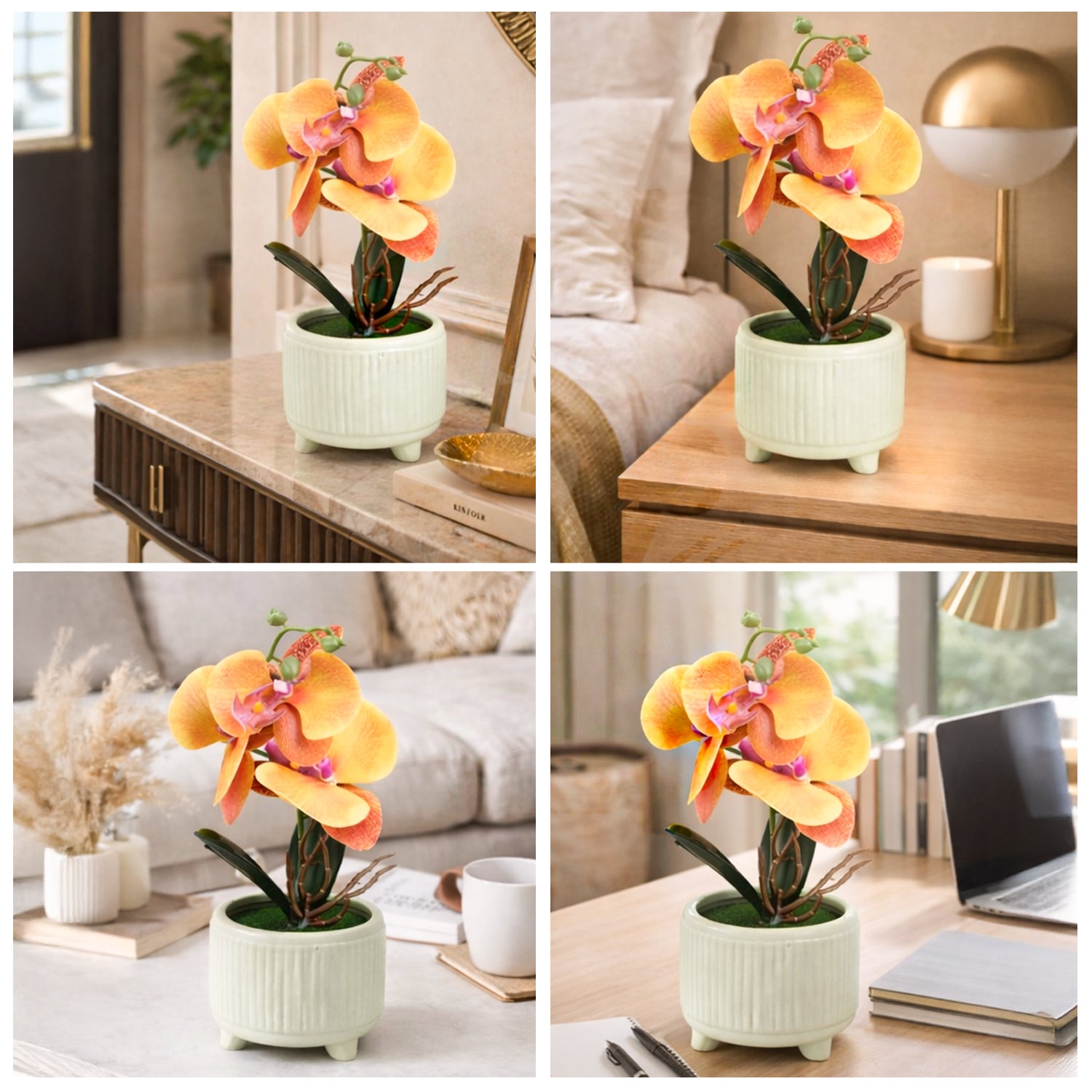 Collage of a decorative potted plant with orange flowers in various indoor settings.