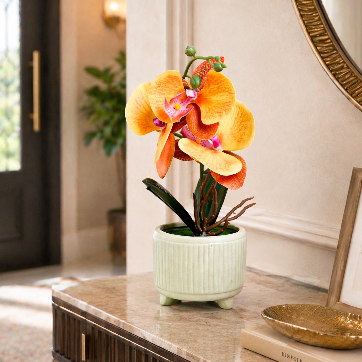 Decorative orchid plant in a pot on a table with a mirror and books in the background