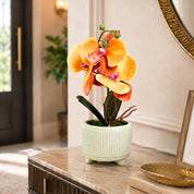 Decorative orchid plant in a pot on a table with a mirror and books in the background