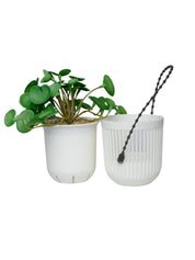 Artifical Hanging Planters For Outdoor Indoor Plants - MARKET 99