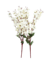 Artificial Flower Plant, Cherry Blossom, Polyester, White, Set of 2 - MARKET 99