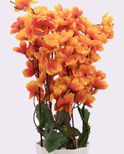 Artificial Flower Plant with White Pot, Blossoms, Orange, Plastic Plant - MARKET 99