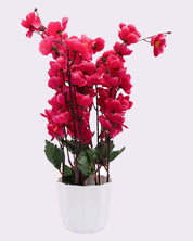 Artificial Flower Plant with White Pot, Blossoms, Pink, Plastic Plant - MARKET 99