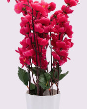 Artificial Flower Plant with White Pot, Blossoms, Pink, Plastic Plant - MARKET 99