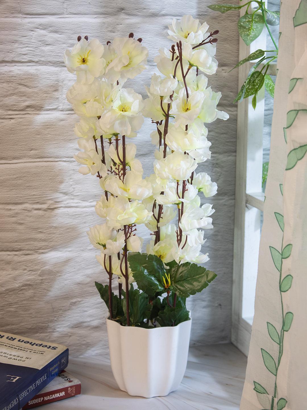 Artificial Flower Plant with White Pot, Blossoms, White, Plastic Plant - MARKET 99