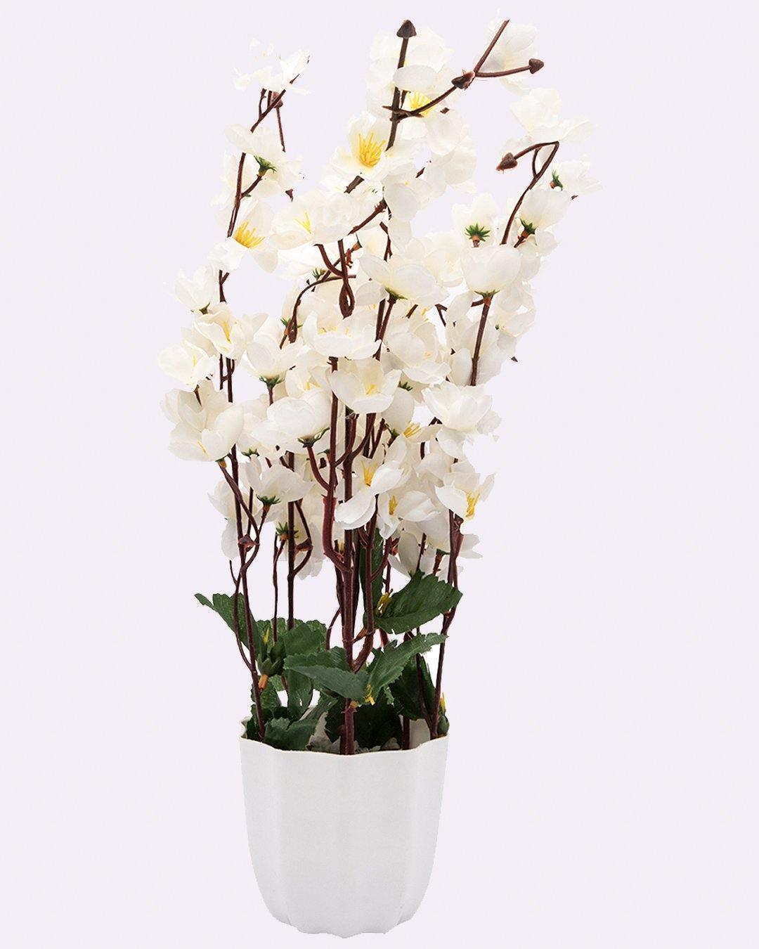 Artificial Flower Plant with White Pot, Blossoms, White, Plastic Plant - MARKET 99