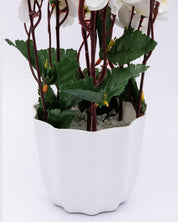 Artificial Flower Plant with White Pot, Blossoms, White, Plastic Plant - MARKET 99