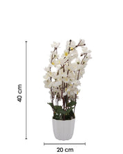 Artificial Flower Plant with White Pot, Blossoms, White, Plastic Plant - MARKET 99