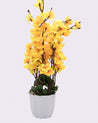 Artificial Flower Plant with White Pot, Blossoms, Yellow, Plastic Plant - MARKET 99